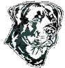 Guard Dog Systems